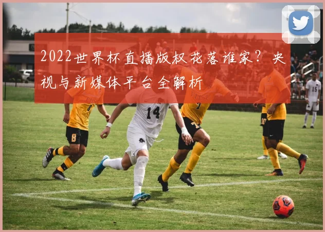 2022世界杯直播版权花落谁家？央视与新媒体平台全解析