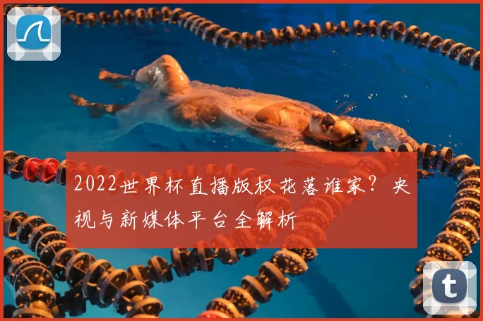 2022世界杯直播版权花落谁家？央视与新媒体平台全解析